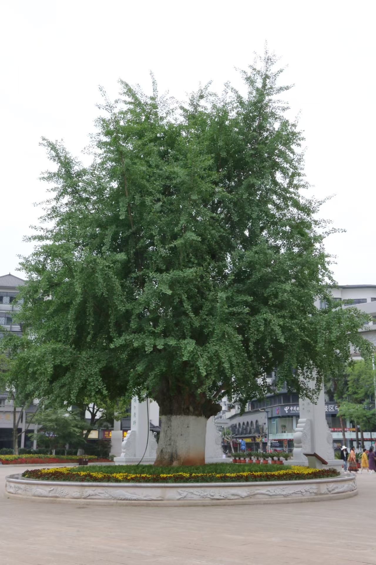 304am永利集团