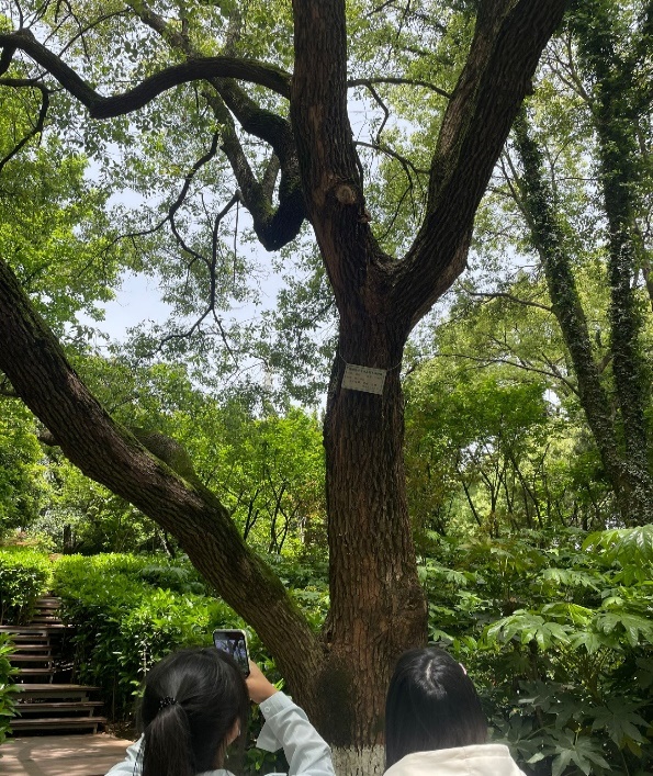 304am永利集团