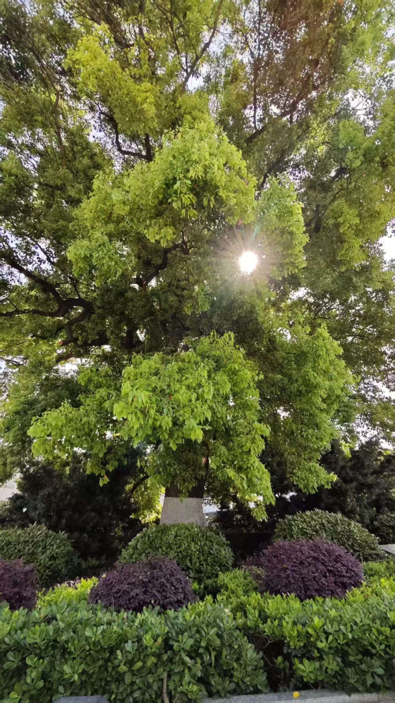 304am永利集团